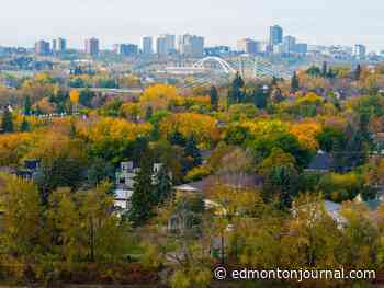 Opinion: Unintended consequences of Edmonton's proposed zoning changes