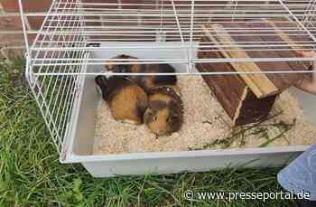 FW-KLE: Acht Einsätze am Tag des Rauchmelders