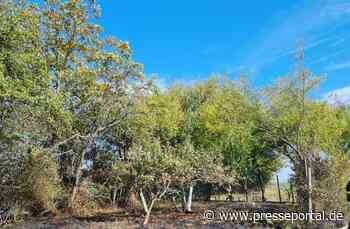 POL-PDLD: Brand auf Ackerflächen in der Nähe vom Haftelhof