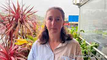 Fire-affected families grapple with prospect of rebuilding in bushfire-prone area