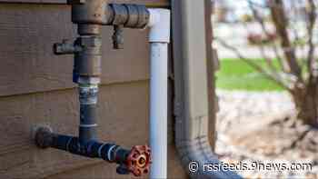 Should I blow out my sprinkler system for winter or wait?