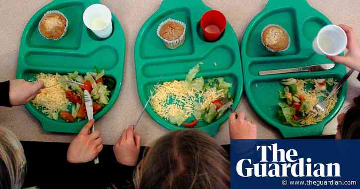 Children should get one healthy school meal a day, say EU experts