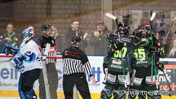 Immer wieder dieselben Fehler