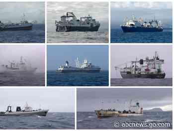 Takeaways from AP's reporting on Antarctica's burgeoning krill fishery