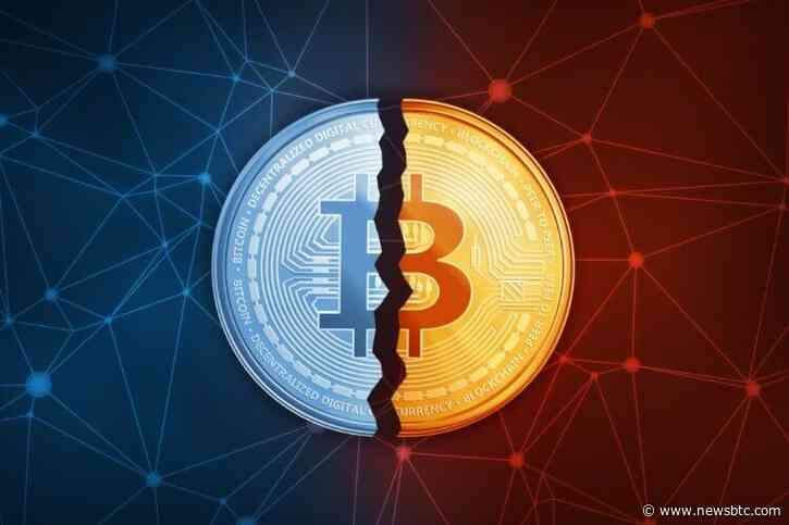 What To Expect If Historical Bitcoin Halving Cycles Repeat