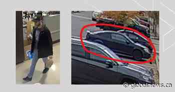 Calgary police release photo of car suspected in hit and run that hospitalized senior