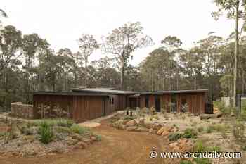 Treehouse / Suzanne Hunt Architect