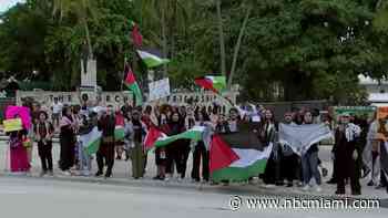 Tense exchanges at pro-Palestine rally in downtown Miami