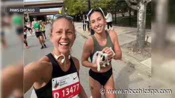 A look back at how a kitten was rescued by a runner during this year's Chicago Marathon