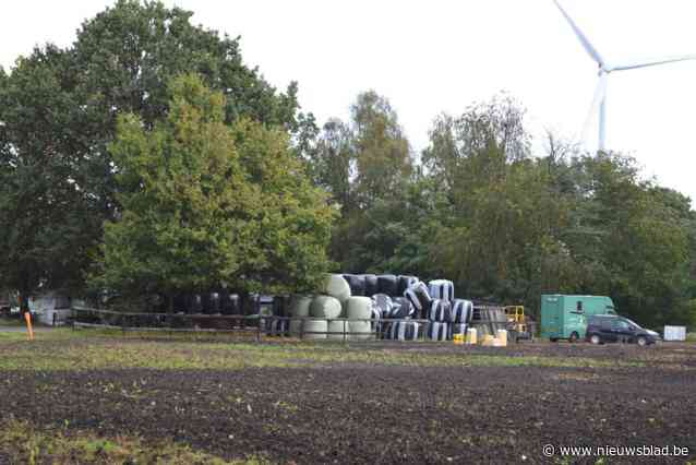 Zadeldieven gebruikten privéstalling in Mol-Sluis als opslagplek: “Geen mens zou verwachten dat in zo’n koterij een buit van 35.000 euro verborgen ligt”