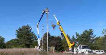 Eagle’s nest platform installed at Indigenous garden in Kingston, Ont.
