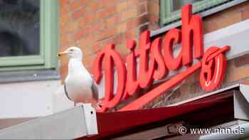 Wo die Möwen in Rostock ihr Päuschen machen