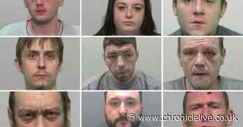 The faces of violent thugs who have faced the North East courts for their vicious crimes