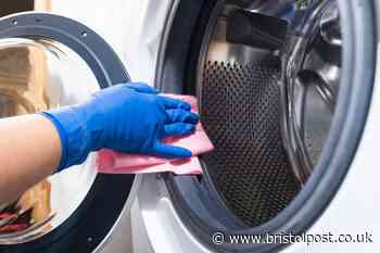 It's probably time to clean your washing machine - this is why