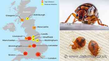 Worst bed bug infected cities across Britain MAPPED with creepy crawlies set to invade the UK - so, is YOUR area affected?