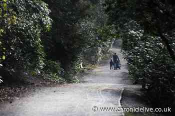 North East hour-by-hour weekend weather forecast as Met Office warns of 'cold snap'