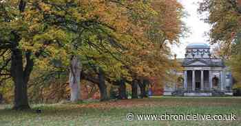 Vote for your favourite National Trust attraction in the North East to visit this autumn