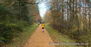 County Durham Parkrun named one of the most beautiful routes in the UK