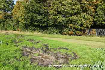 'Dangerous' sewage spills out onto field near Watford