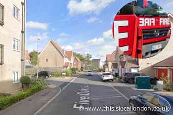Tree falls against four storey block of flats in Hainault
