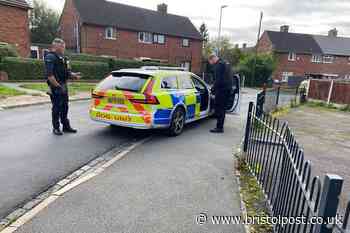 'Mum and daughter' taken to hospital after XL bully attack