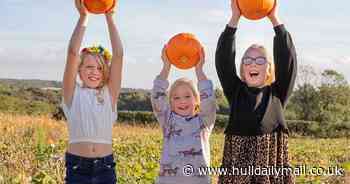 Best places to pick pumpkins near Hull for Halloween 2023