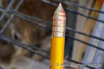 Unbekannter schießt mit Armbrust auf Hauskaninchen