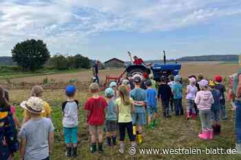 Kita-Kinder aus Warburg ernten Kartoffeln in Calenberg
