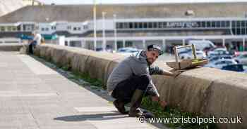 'Urban forager' gets food from parks and spends £5 on weekly shop