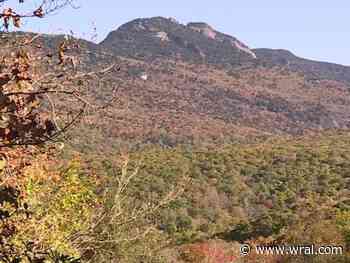 UNC Asheville grad launches peak fall color website