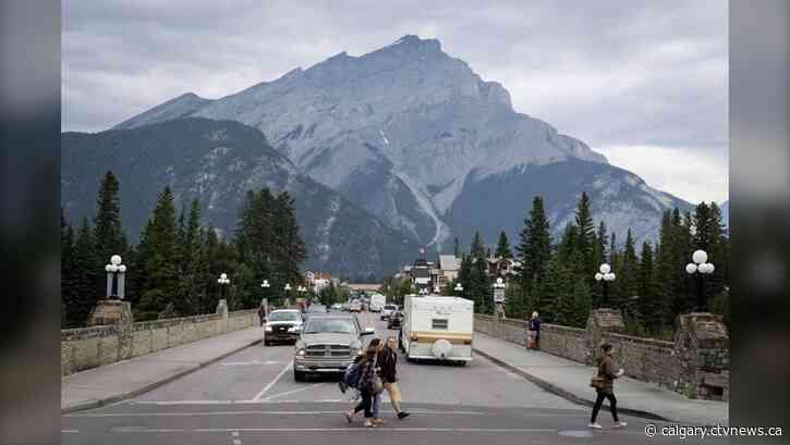 Alberta mountain towns work to coexist with bears through warnings and other actions