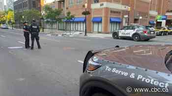 SIU says no charges for Toronto police after man falls from hotel window