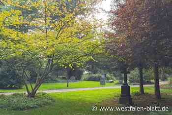 Bad Driburg: Begegnungen auf dem Friedhof mit Mechthild Bange