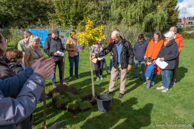 Buurtbewoners omgeving Paul Vekemanslaan willen groen behouden en verzetten zich tegen bouw school