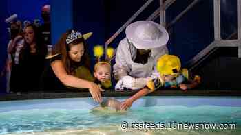 Spooky Seas: 'Fins & Frights' will once again haunt the Virginia Aquarium