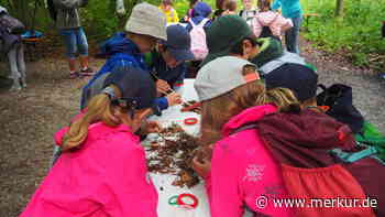 Grundschüler aus Pfaffenhausen und Bad Wörishofen erleben den Wald 