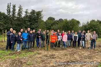 Hüllhorst: Gemeinsam Buddeln für den Klimaschutz
