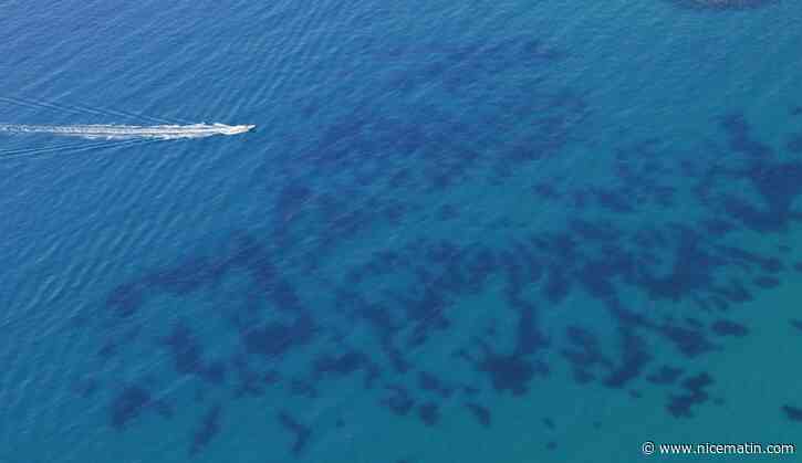 Très chaude ou glacée, pourquoi la mer Méditerranée a battu des records cet été