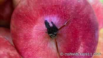 How is the recent rain affecting Minnesota's drought conditions?