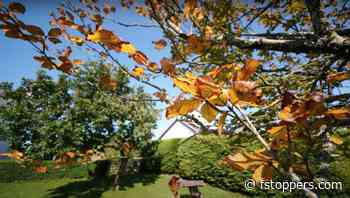 A Review of the 7artisans Photoelectric 9mm f/5.6 Lens