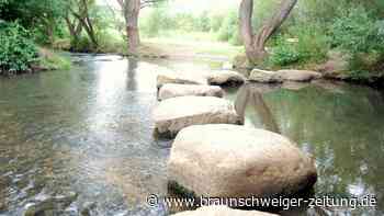 Herbstferien: Kostenlose Freizeit-Aktivitäten in Braunschweig