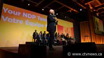 Pro-Palestinian demonstrators hold rally at NDP convention in Hamilton