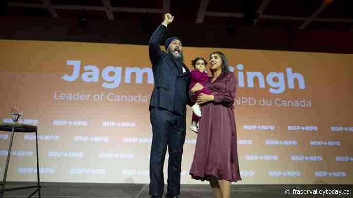 NDP delegates unanimously support pharmacare redline in their deal with Liberals