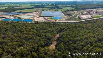 WA wine region town in uphill battle to stop growth of 'Mount Rubbishmore'
