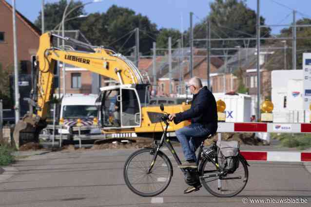 BUURTREPORTAGE. Zijn werken Rozenberg en Gompelbaan er te veel aan? “Ik woon aan de slechtste weg van Mol”