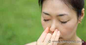 Professor explains how doing one bizarre thing can fix trouble with breathing through your nose