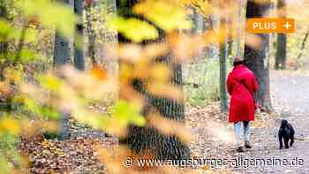 Diese fünf schönen Gassi-Routen gibt es rund um Augsburg