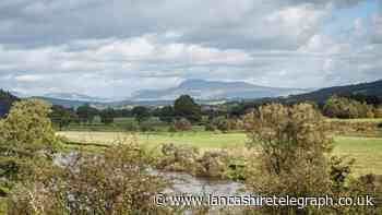 Lancashire County Council gets funds for 30,000 new trees