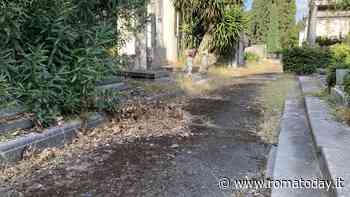 Verano, il Campidoglio progetta il rilancio ma il cimitero resta nel degrado