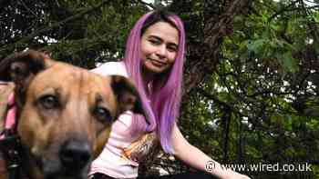 Millions of Workers Are Training AI Models for Pennies